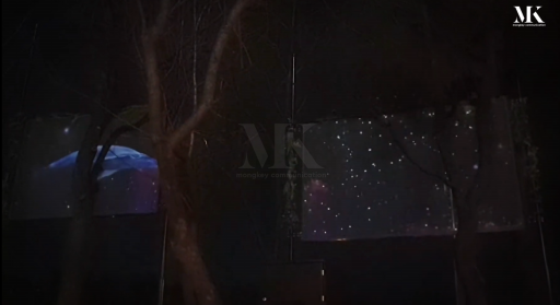 대전 일루젼 포레스트