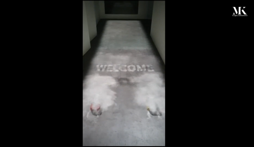 프로젝션 맵핑&홀로그램 결합 연출