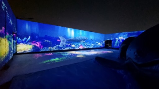 장생포 고래문화마을 미디어아트